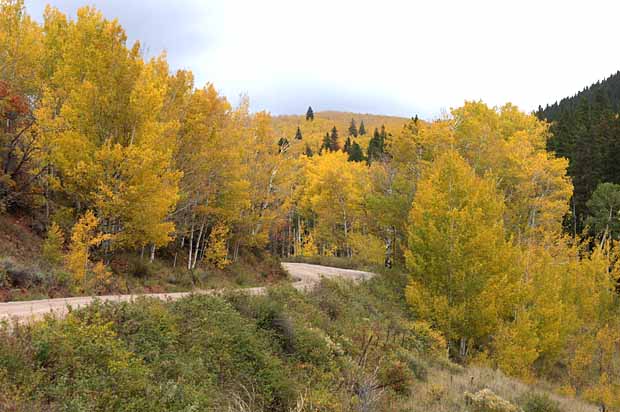 Lake Sylvan State Park