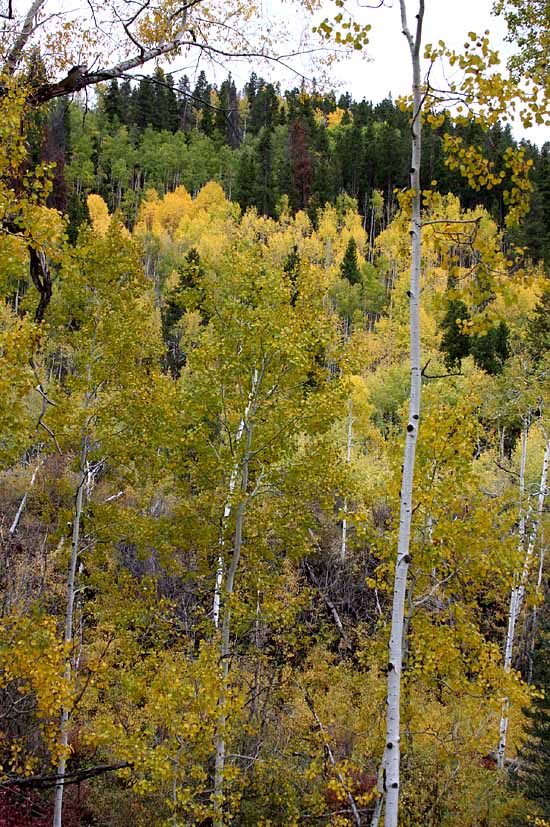 Lake Sylvan State Park