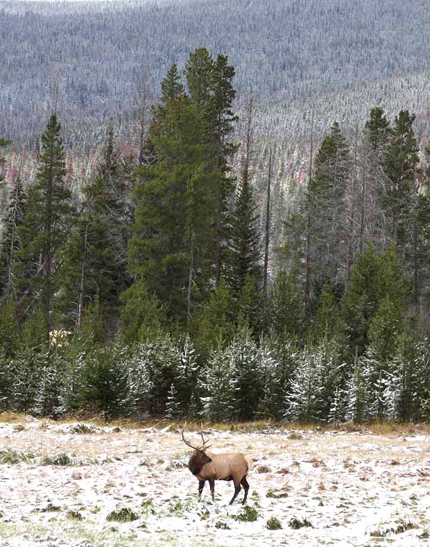 Rocky Mountain National Park