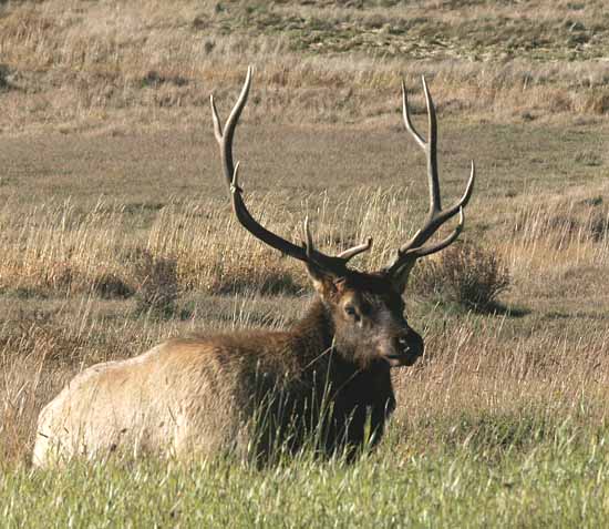 Rocky Mountain National Park