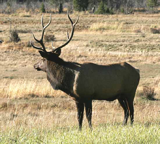 Rocky Mountain National Park