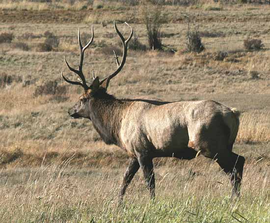 Rocky Mountain National Park