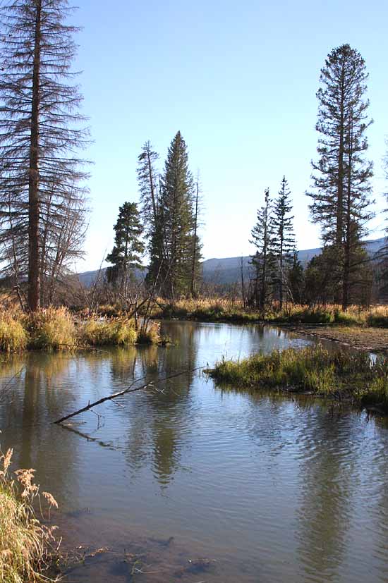 Holzwarth Trout Lodge