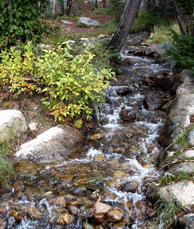 Rocky Mountain National Park