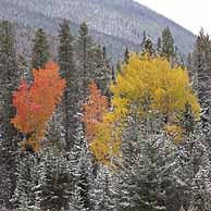 Central Colorado