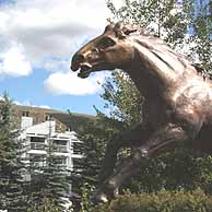 Central Colorado