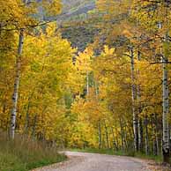 Lake Sylvan State Park