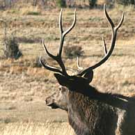 Rocky Mountain National Park