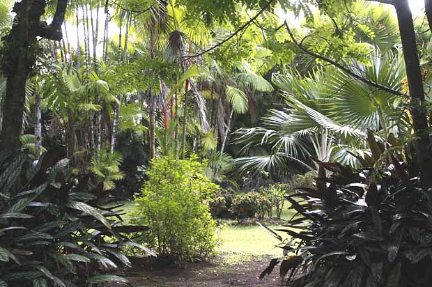 Nani Mau Gardens