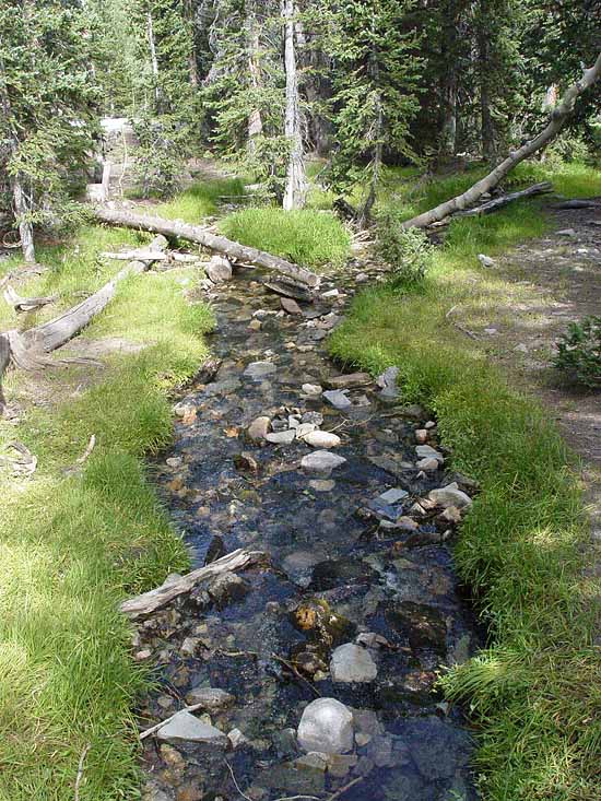 Great Basin National Park