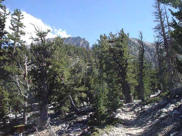 Great Basin National Park