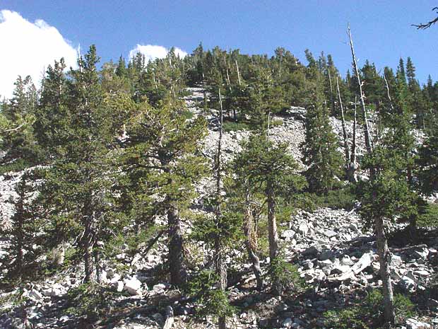 Great Basin National Park