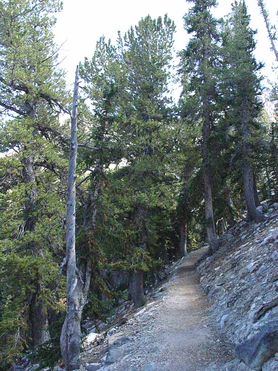 Great Basin National Park