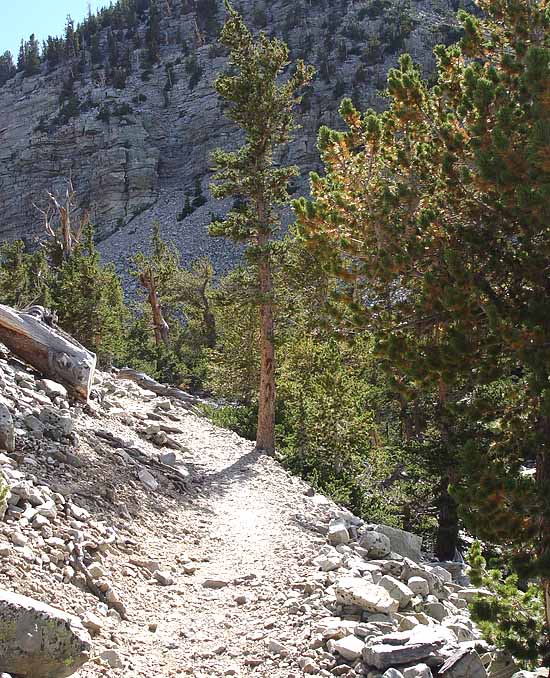 Great Basin National Park