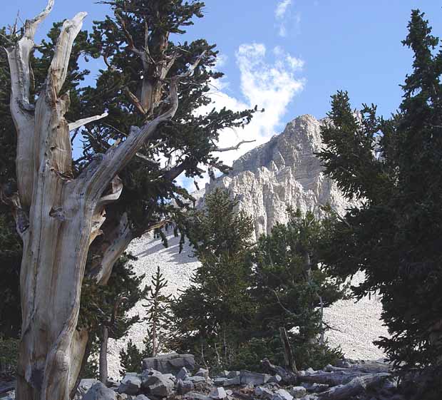 Great Basin National Park