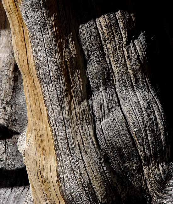 Great Basin National Park