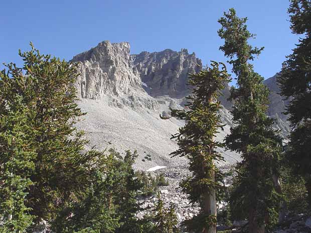 Great Basin National Park