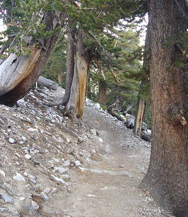 Great Basin National Park