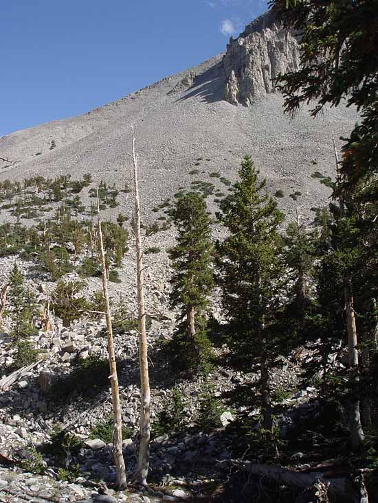 Great Basin National Park