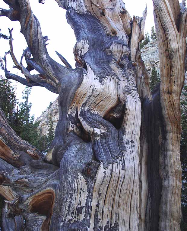 Great Basin National Park