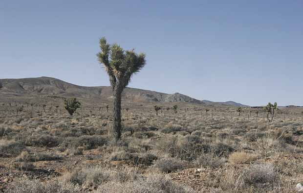 Highway 95 - Beatty to Goldfield