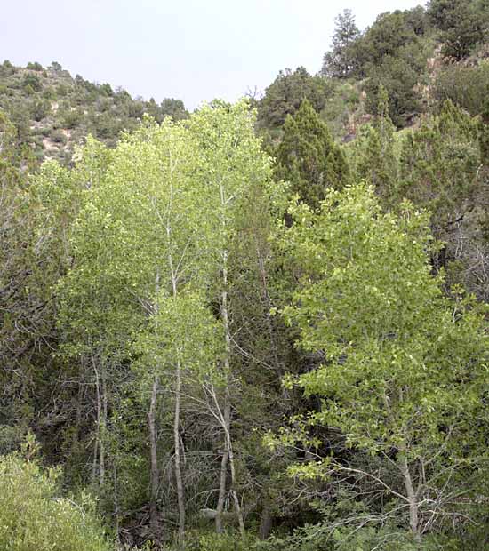 Beaver Dam State Park