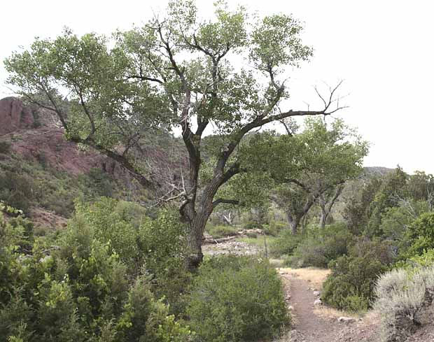 Beaver Dam State Park