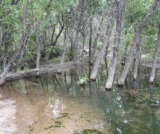 Beaver Dam State Park