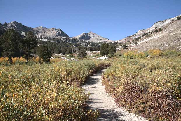 Ruby Mountains