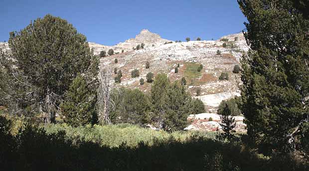 Ruby Mountains