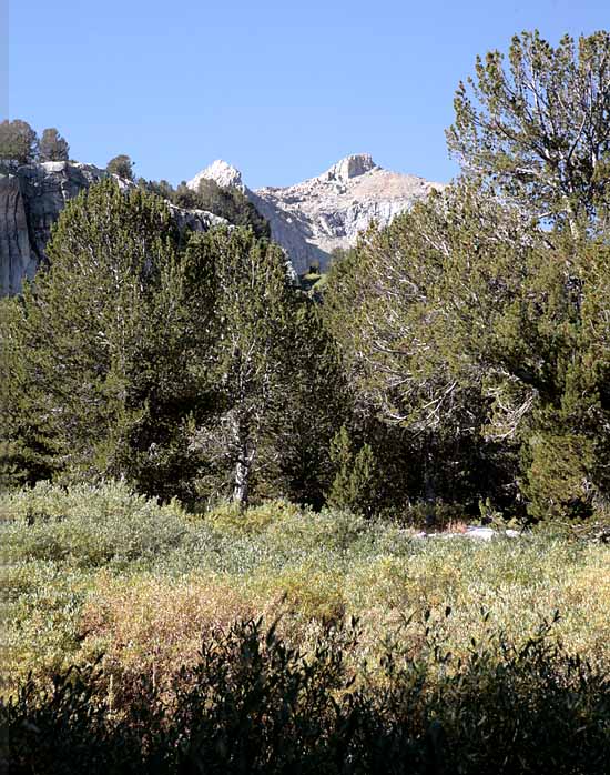 Ruby Mountains