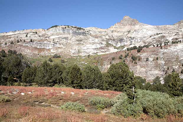 Ruby Mountains