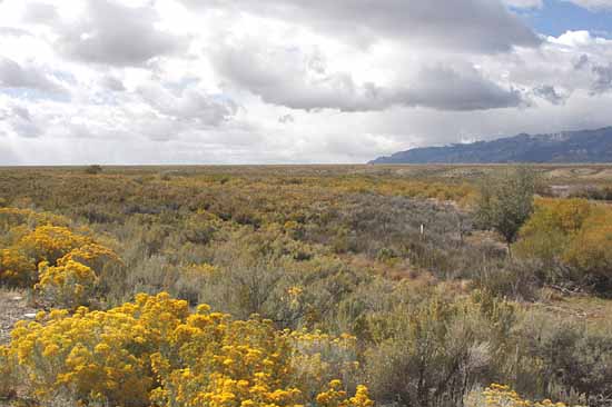 Nevada Highway 487