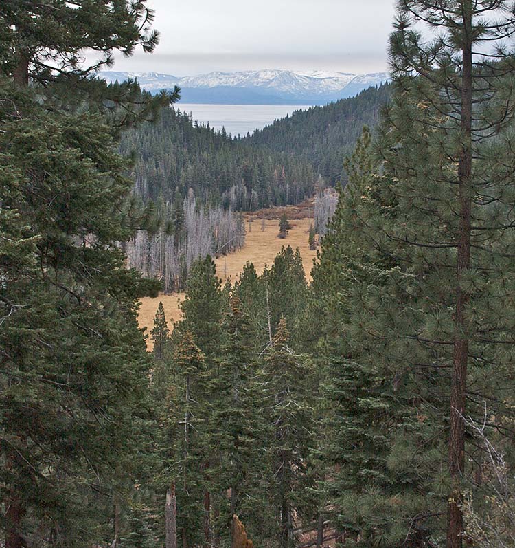 Skunk Harbor Hike