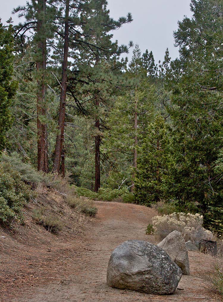 Skunk Harbor Hike