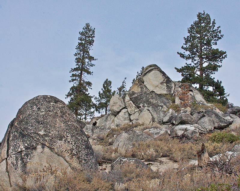 Skunk Harbor Hike