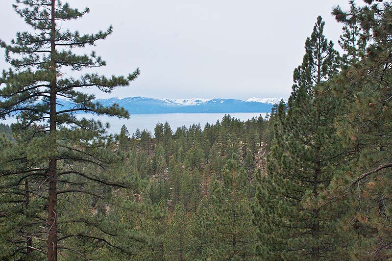 Skunk Harbor Hike