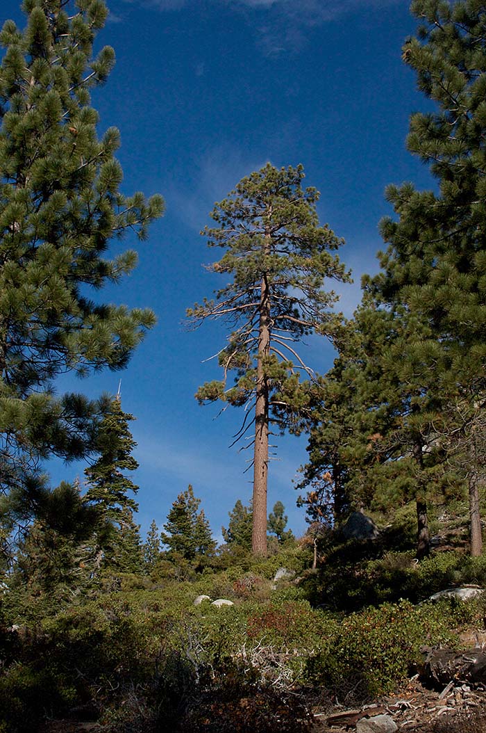 Tunnel Creek Hike