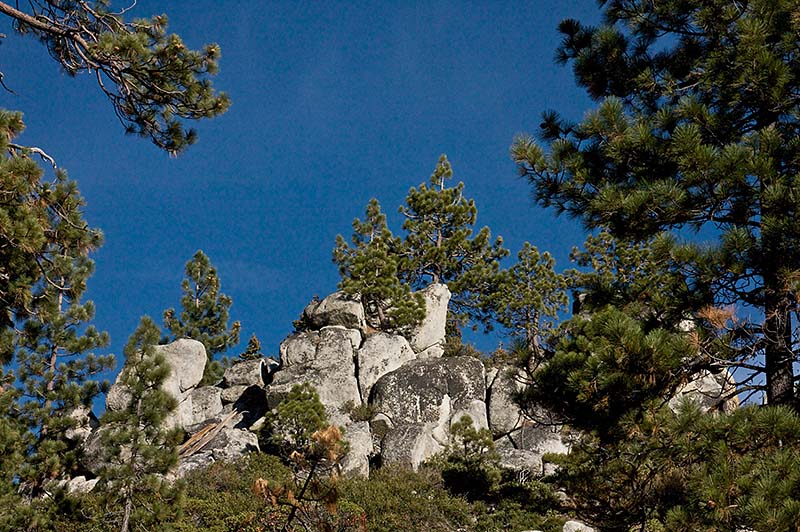 Tunnel Creek Hike