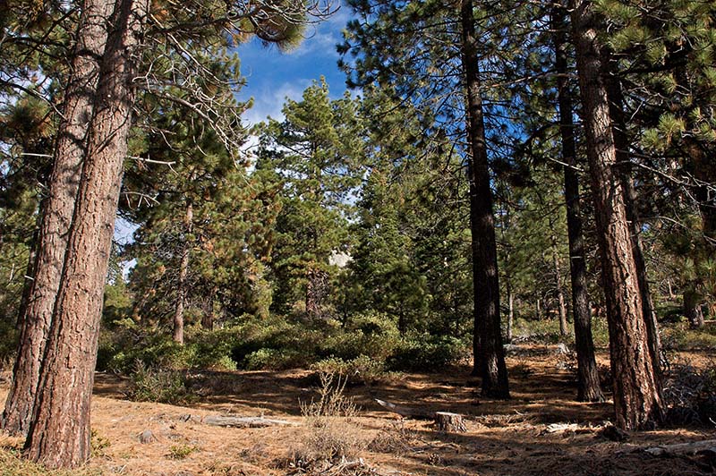 Tunnel Creek Hike