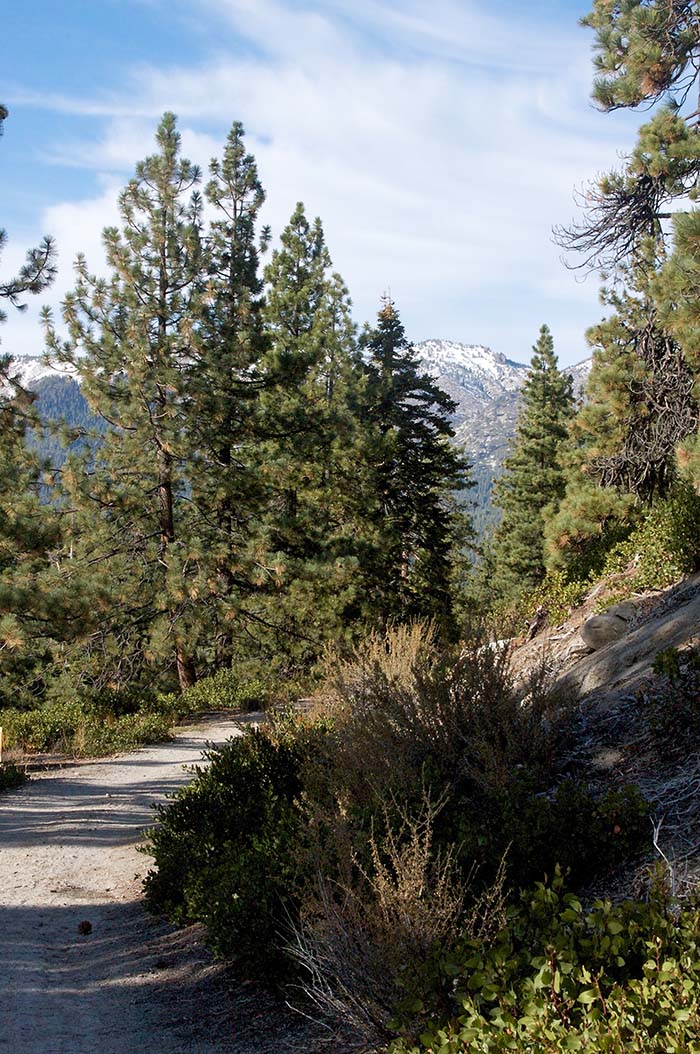 Tunnel Creek Hike