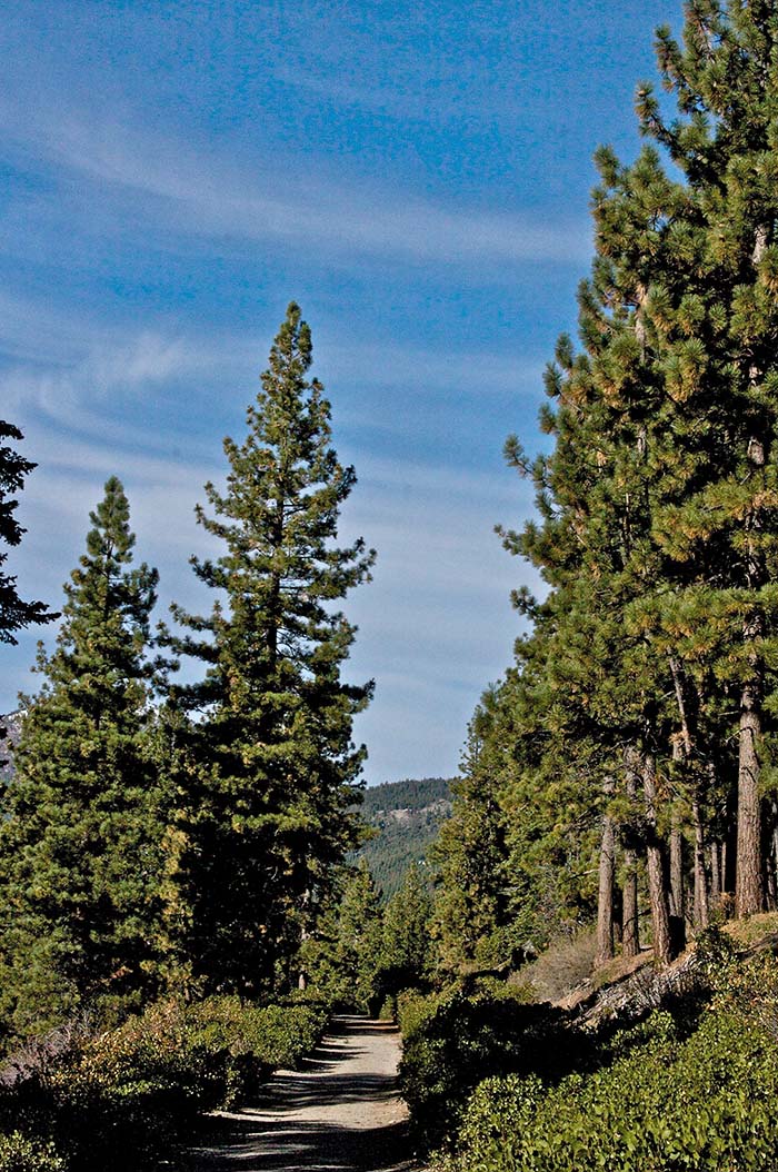 Tunnel Creek Hike