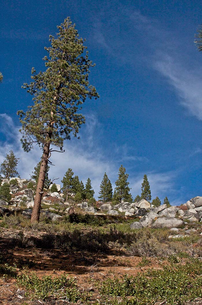 Tunnel Creek Hike