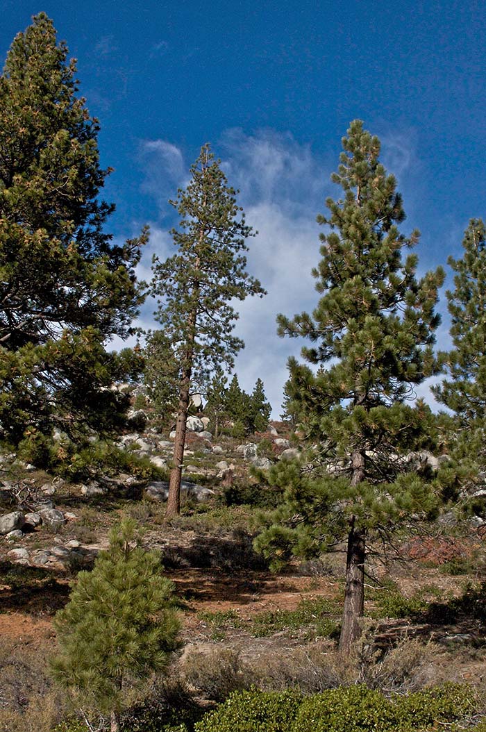 Tunnel Creek Hike