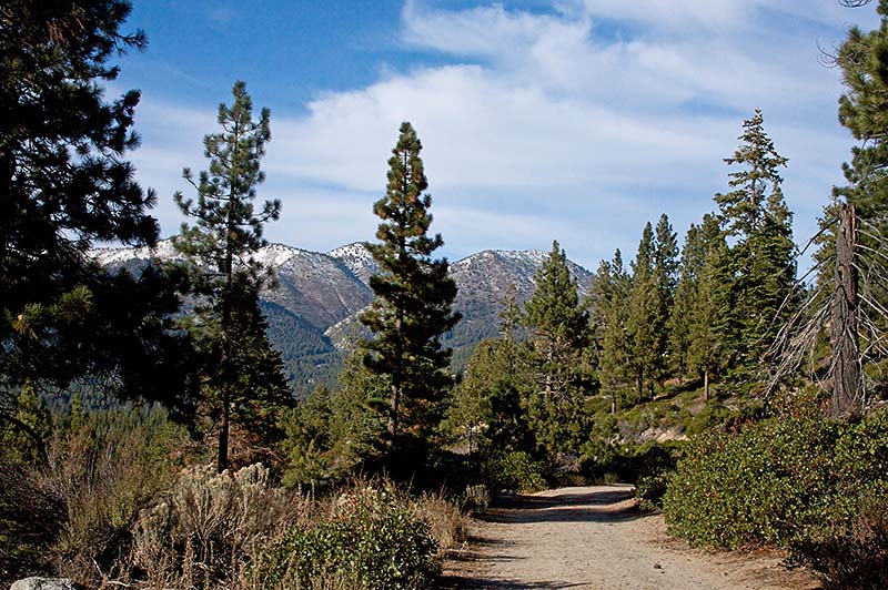 Tunnel Creek Hike