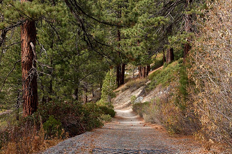 Tunnel Creek Hike