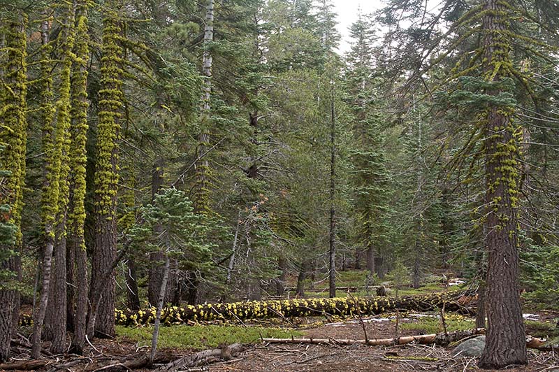 Tunnel Creek Hike