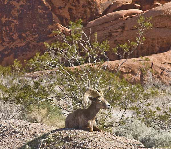 Valley of Fire State Park