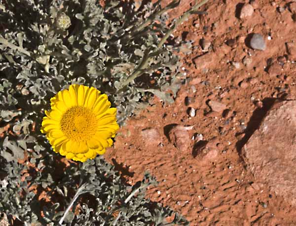 Valley of Fire State Park