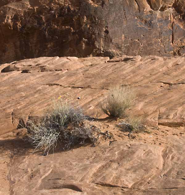 Valley of Fire State Park